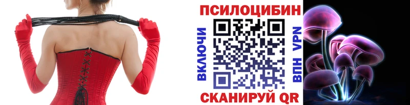 Галлюциногенные грибы Psilocybine cubensis  Купить закладки  Новоаннинский 