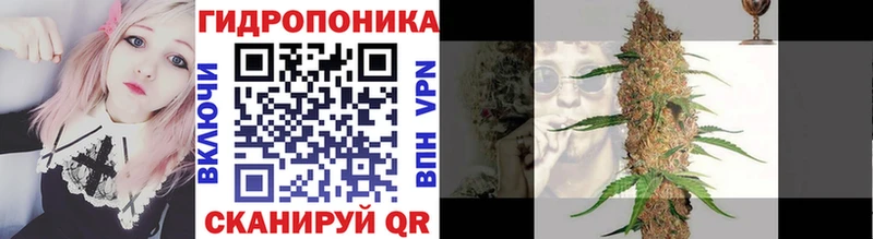 Купить где  Новоаннинский  Канабис планчик 